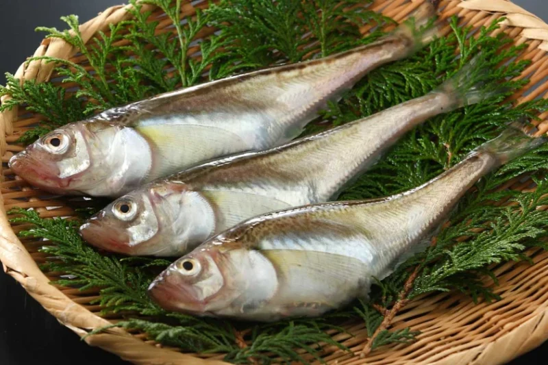 はたはた!激動の変遷と愛すべき県民魚 | いではの里で生きてます